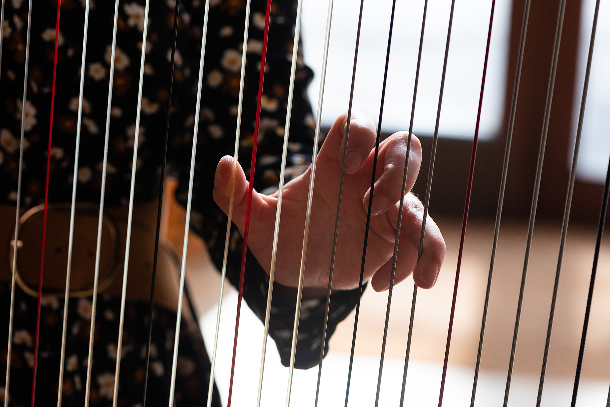 cordes-d-une-harpe-harposphere